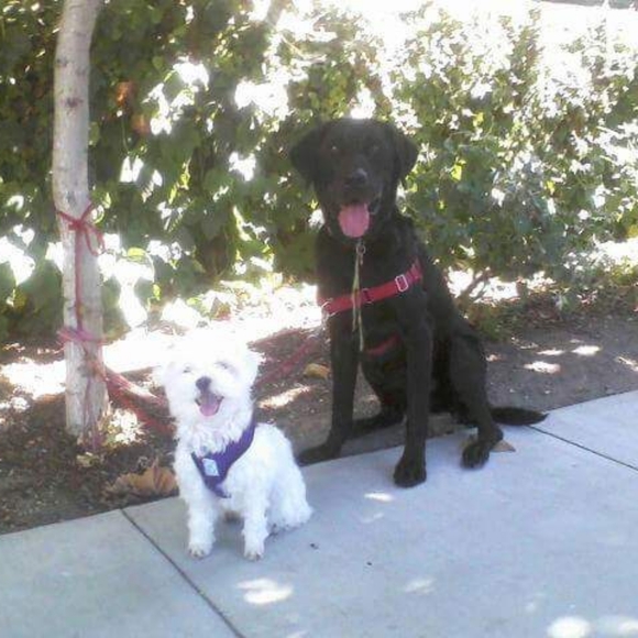 We Love Offers❤️😁 - Picture 9 of 10